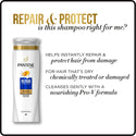 PANTENE - PRO-V REPAIR & PROTECT SHAMPOO