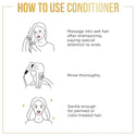 PANTENE - PRO-V DAILY MOISTURE RENEWAL CONDITIONER