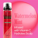 EBIN - Braid Formula Refreshing Fine Mist WATERMELON CRUSH