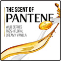 PANTENE - PRO-V DAILY MOISTURE RENEWAL CONDITIONER