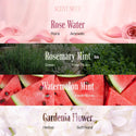 EBIN - Braid Formula Refreshing Fine Mist WATERMELON CRUSH