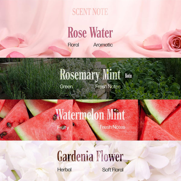 EBIN - Braid Formula Refreshing Fine Mist WATERMELON CRUSH