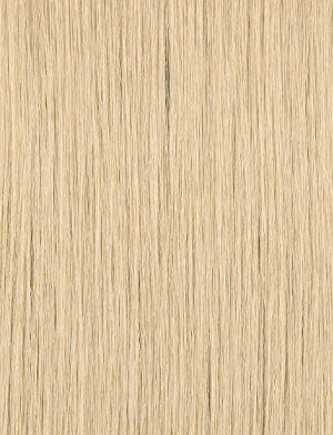 SENSATIONNEL - BUTTA PRE-CUT LACE WIG - UNIT 16