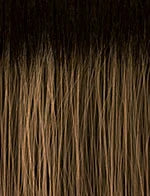 SENSATIONNEL - V-PART WIG V-UNIT 1 (CK&CO)