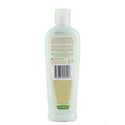 Sof N' Free - GroHealthy Olive OIl Growth Lotion