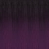 2T1B/PURPLE