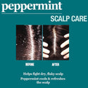 Difeel - Peppermint Scalp Care Hair Mask