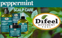 Difeel - Peppermint Scalp Care Hair Mask