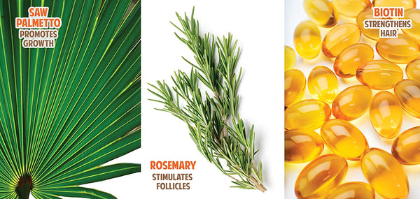 Organic Hair Energizer - Root & Scalp Tonic