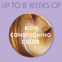 SoftSheen Carson - Dark & Lovely Fade Resist Permanent Hair Dye Kit #377 (SUN KISSED BROWN)