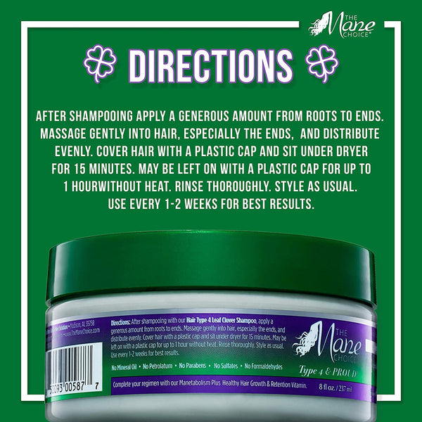 The Mane Choice - Hair Type 4 Mask