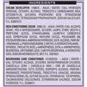 SoftSheen Carson - Dark & Lovely Fade Resist Permanent Hair Dye Kit #391 (BROWN CINNAMON)