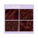 SoftSheen Carson - Dark & Lovely Go Intense! #66 SPICY RED
