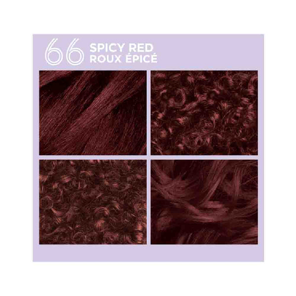 SoftSheen Carson - Dark & Lovely Go Intense! #66 SPICY RED