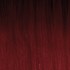 FREETRESS - EQUAL LEVEL UP HD LACE FRONT WIG MONICA