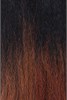 FREETRESS - EQUAL TALISA LEVEL UP HD LACE FRONT WIG