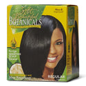 Soft & Beautiful - Botanicals No-Lye Sensitive Scalp Relaxer REGULAR