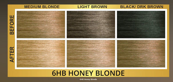 Bigen - Easy Color High-Lift Hair Dye 6HB Honey Blonde