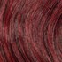 Buy t530-two-tone-burgundy FREETRESS - BUTTERFLY LOC 12"