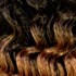 Buy tt27-two-tone-honey-blonde FREETRESS - WATER WAVE 22"