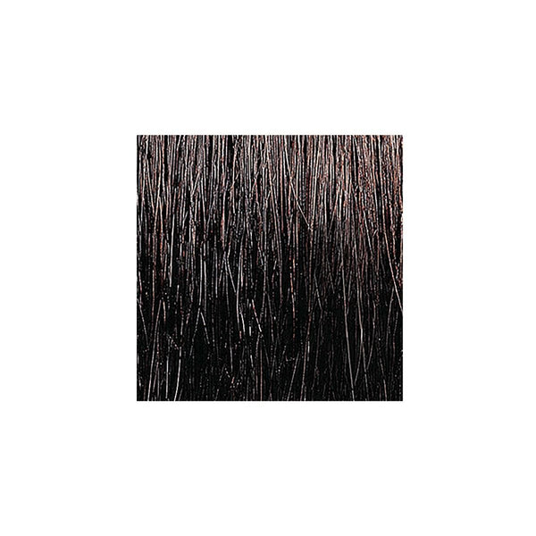 KISS - Quick Cover Gray Hair Touch Up Brush Type