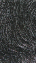 SISTER WIG - Ms. Wisdom 100% Human Salt & Pepper Wig HR-PART DIDI
