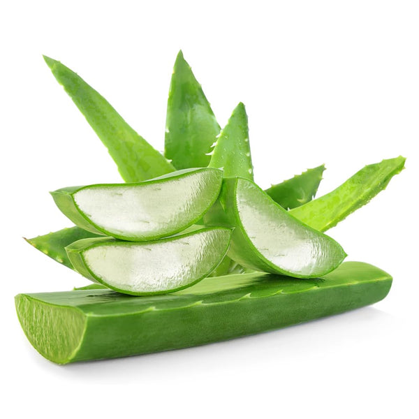 TALIAH WAAJID - Green Apple & Aloe Curl So Soft Conditioner