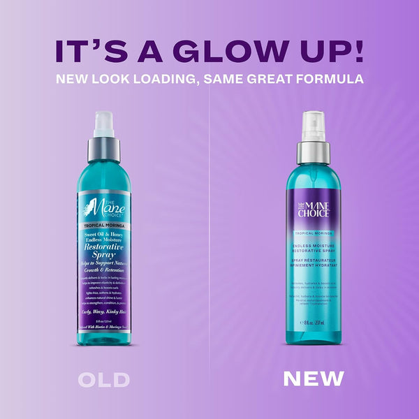 The Mane Choice - Sweet Oils and Honey Endless Moisture Restorative Spray