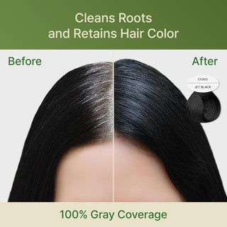 KISS - COLOR CHANGE SHAMPOO JET BLACK
