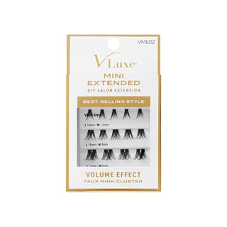 KISS - VLE MINI EXTENDED CLUSTER - 02