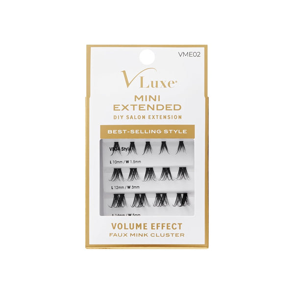 KISS - VLE MINI EXTENDED CLUSTER - 02