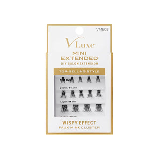 KISS - VLE MINI EXTENDED CLUSTER - 03