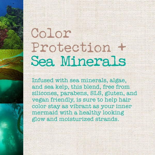 MAUI MOISTURE - Color Protection + Shampoo Sea Minerals