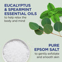 DR. TEALS - Epsom Salt Body Scrub [EUCALYPTUS & SPEARMINT]