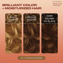 CLAIROL - Texture & Tones Permanent Hair Dye  7G LUMINOUS BLONDE