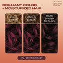 CLAIROL - Texture & Tones Permanent Hair Dye 4RV BERRY BURGUNDY