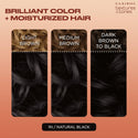 CLAIROL - Textures & Tones Permanent Hair 1N NATURAL BLACK