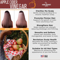 Hair Chemist - Apple Cider Vinegar Revitalize & Clarify Revitalizing Scalp Stimulator
