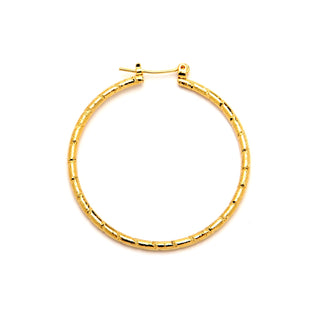 JOY JEWELRY - Gold Pincatch Hoop Earrings A16