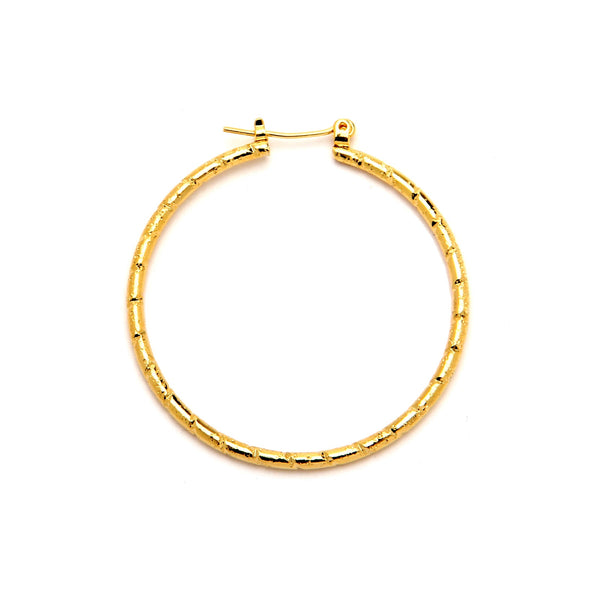 JOY JEWELRY - Gold Pincatch Hoop Earrings A16