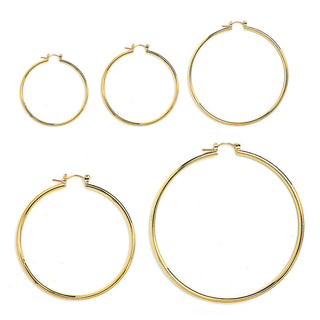 JOY JEWELRY - Gold Pincatch Hoop Earrings A25