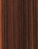 SENSATIONNEL - BARE LACE WIG - 13X5 360 UNIT 6