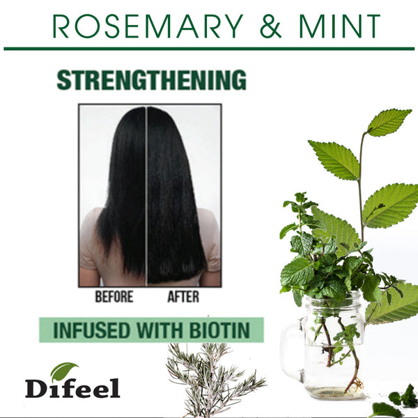 DIFEEL - ROSEMARY AND MINT PREMIUM HAIR OIL WITH BIOTIN