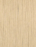 SENSATIONNEL - BUTTA PRE-CUT LACE WIG - UNIT 15