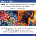 Difeel - Elevated Biotin Pro-Growth Shampoo