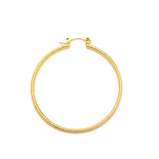 JOY JEWELRY - Gold Pincatch Hoop Earrings A10