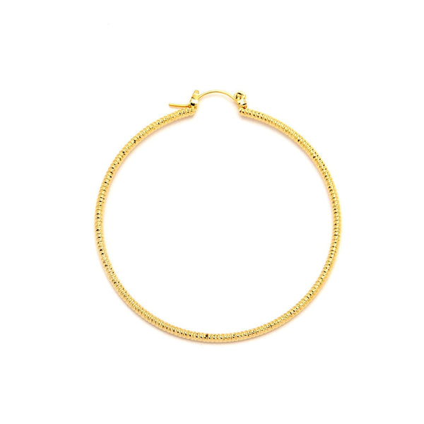 JOY JEWELRY - Gold Pincatch Hoop Earrings A19