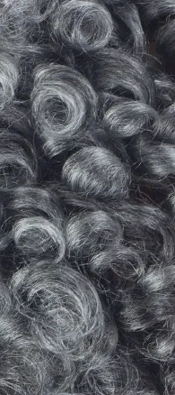 Buy dark-grey MAYDE - MOCHA HUMAN HAIR BLEND WIG BONBON