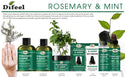 DIFEEL - ROSEMARY AND MINT PREMIUM HAIR OIL WITH BIOTIN