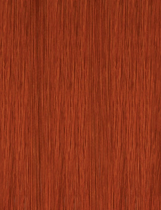 OUTRE - WIGPOP - POP 1